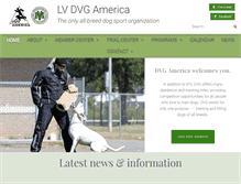Tablet Screenshot of dvg-america.com